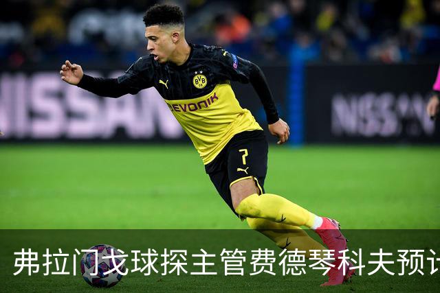 弗拉门戈球探主管费德琴科夫预计年底加入利物浦引援团队